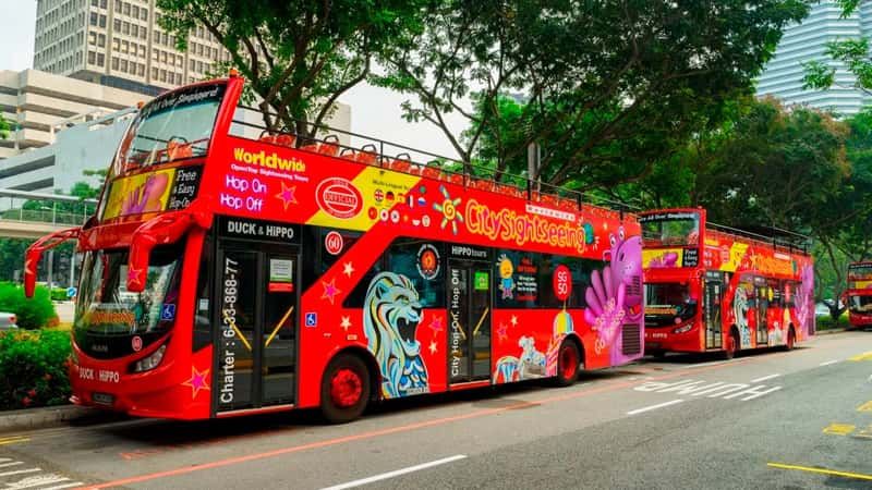 images/newsimages_bus_en/2019/Singapores Hop-On Hop-Off Tour Bus Among The Worlds Best .jpg#joomlaImage://local-images/newsimages_bus_en/2019/Singapores Hop-On Hop-Off Tour Bus Among The Worlds Best .jpg?width=800&height=450