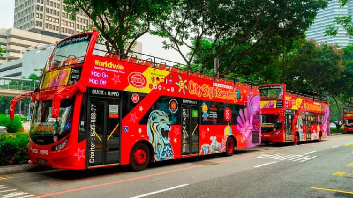 images/newsimages_bus_en/2019/Singapores%20Hop-On%20Hop-Off%20Tour%20Bus%20Among%20The%20Worlds%20Best%20.jpg#joomlaImage://local-images/newsimages_bus_en/2019/Singapores Hop-On Hop-Off Tour Bus Among The Worlds Best .jpg?width=800&height=450